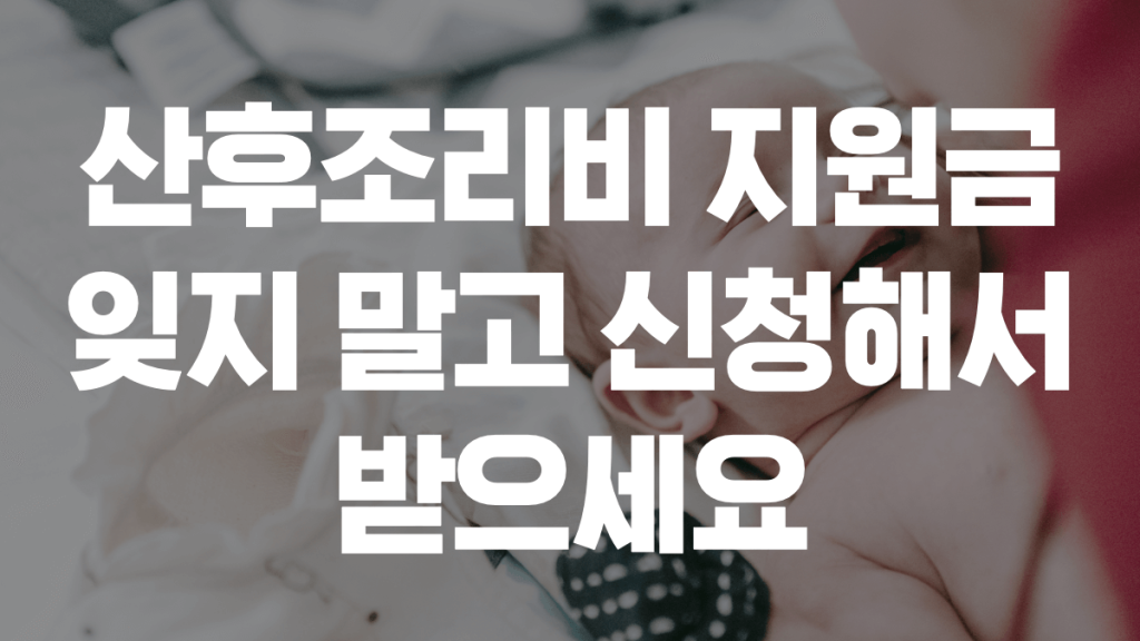 산후조리비 표지